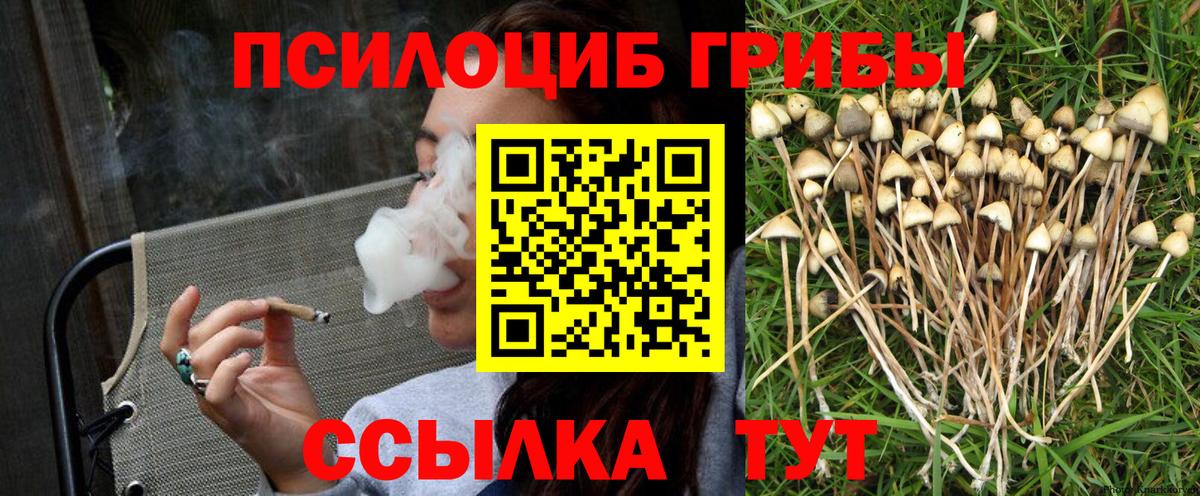 Псилоцибиновые грибы мицелий Великие Луки